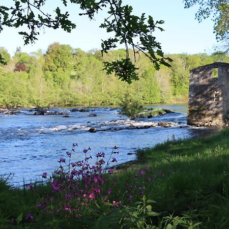 Manot Vacances - Gites En Bord De Vienne Kültér fotó